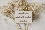 Stickers | Script Font, a Handwritten Font by Scratchones (Thumbnail 5 of 9)