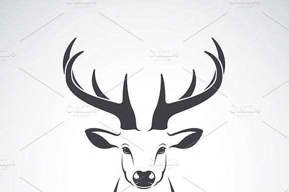 Vector Of A Deer Head Design. Animal