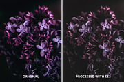 VSCOcam Inspired Lightroom presets, an Action Add-On by BeArt-Presets (Thumbnail 9 of 17)