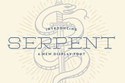 Serpent Typeface, a Font by Good Times Studio