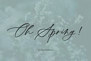 Pretty Script Font Bundle, a Script Font by theinkaffair (Thumbnail 7 of 14)