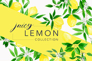 Juicy Watercolor Lemon Set, an Illustration by One and Only Paper (Thumbnail 1 of 9)