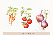 Watercolor Vegetables Clipart, Fresh, a Decorative Illustration by illuztrate (Thumbnail 7 of 9)