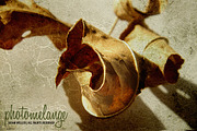 Fine Art Textures - High Res, a Texture Graphic by photomelange (Thumbnail 2 of 5)