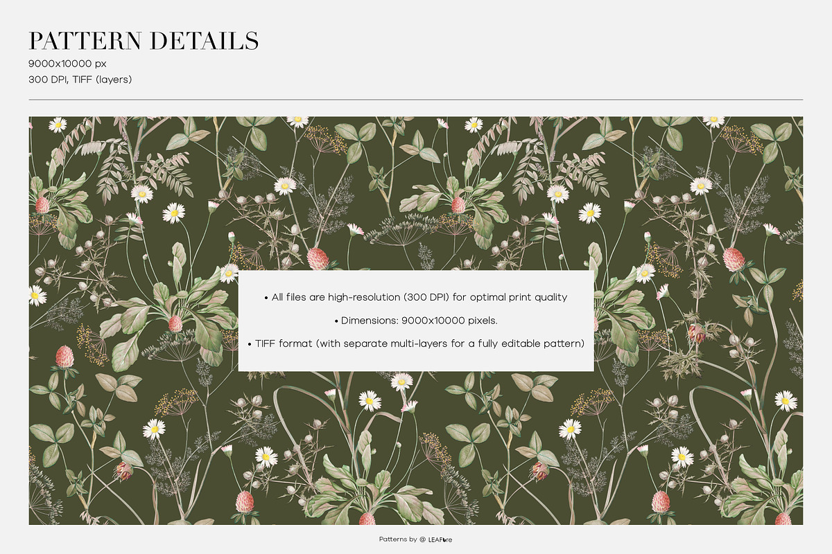 Meadow Bounty Botanical Prints, a Pattern Graphic by LEAFure (Photo 3 of 8)