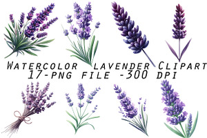 Watercolor lavender Clipart, an Illustration by Designworld