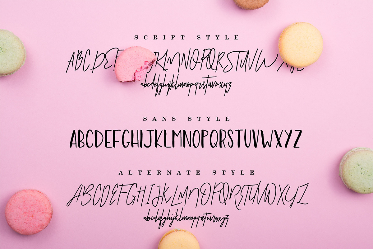 Premium Font Bundle, a Script Font by Flycatcher Design (Photo 39 of 140)