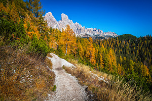 Narrow hiking trail in the forest, a Nature Photo by Alpine Dreams