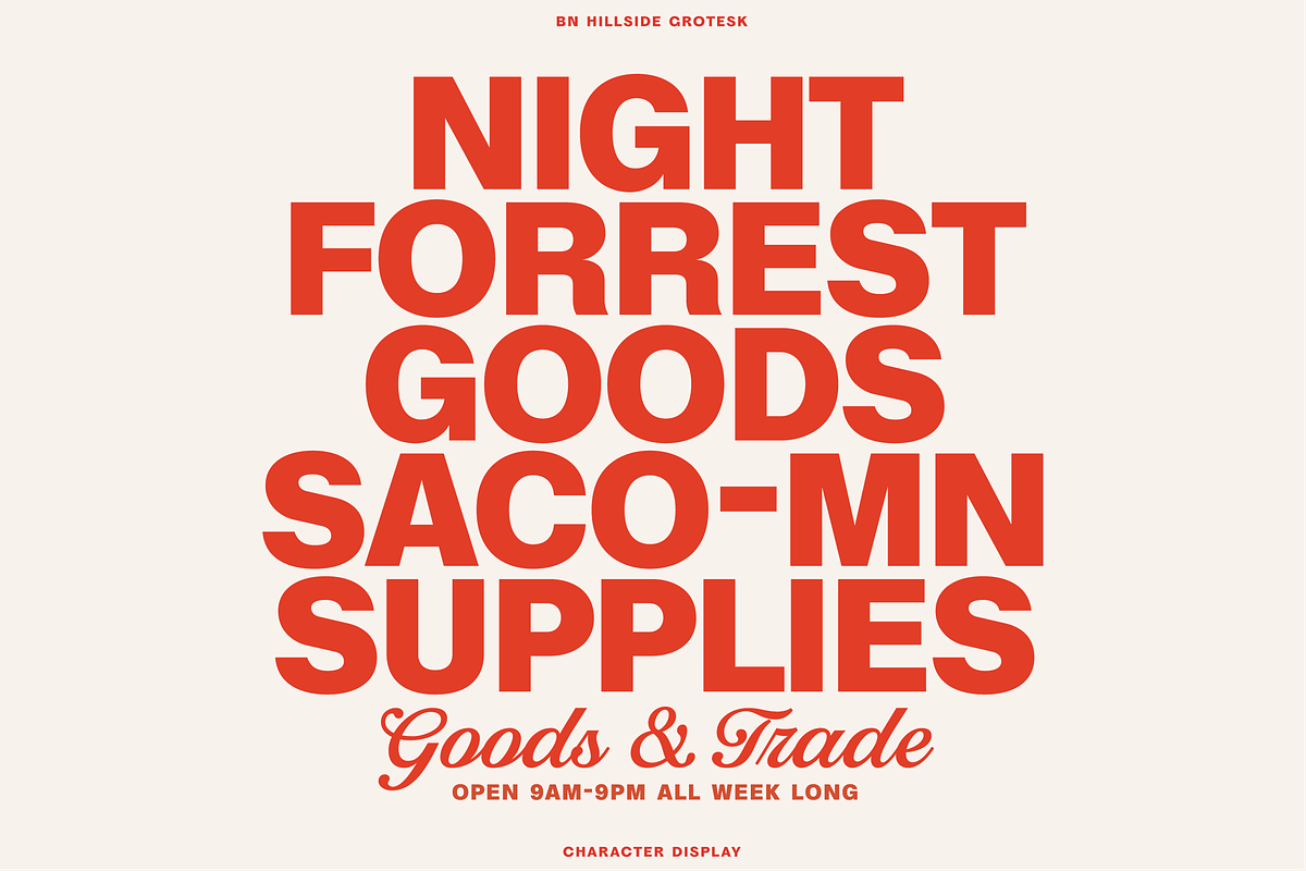 BN Hillside Grotesk, a Sans Serif Font by Bnick (Photo 6 of 14)