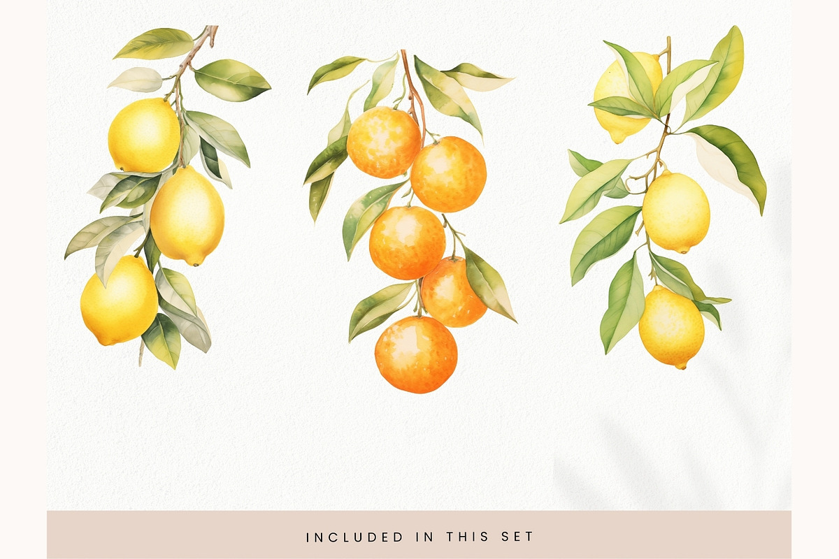 Watercolor Fruit Clipart, Fresh PNG, a Decorative Illustration by illuztrate (Photo 7 of 13)