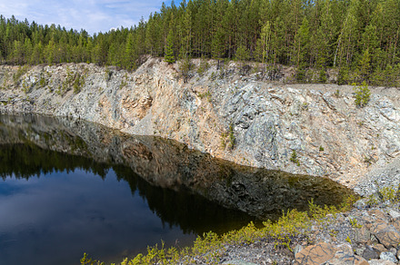 Group of small pines are by a lake i, a Nature Photo by Illustrations&photos