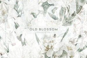 Old Blossom