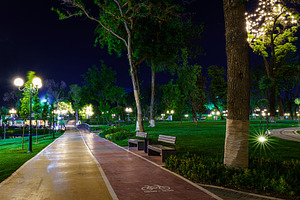 Illuminated park at night with a long path and green grass, feat, a Nature Photo by Eugene_Photo