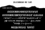 Dragonflight Pro, a Script Font by Fontforecast (Thumbnail 10 of 12)