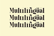 Galery - Elegant Modern Typeface, a Serif Font by suhadidesign (Thumbnail 13 of 15)