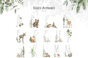 Forest Babies. Wild Animals clipart, an Animal Illustration by Kreker Kate (Thumbnail 7 of 12)