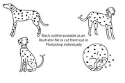 Cute doodle Dalmatians, an Animal Illustration by Liz Pengilley Studio (Thumbnail 3 of 4)