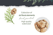Winter greenery floral clipart, a Decorative Illustration by My Wondercolor (Thumbnail 2 of 6)