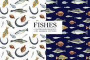 Watercolor FISHES, a Pattern Graphic by JennyColorArt (Thumbnail 1 of 7)