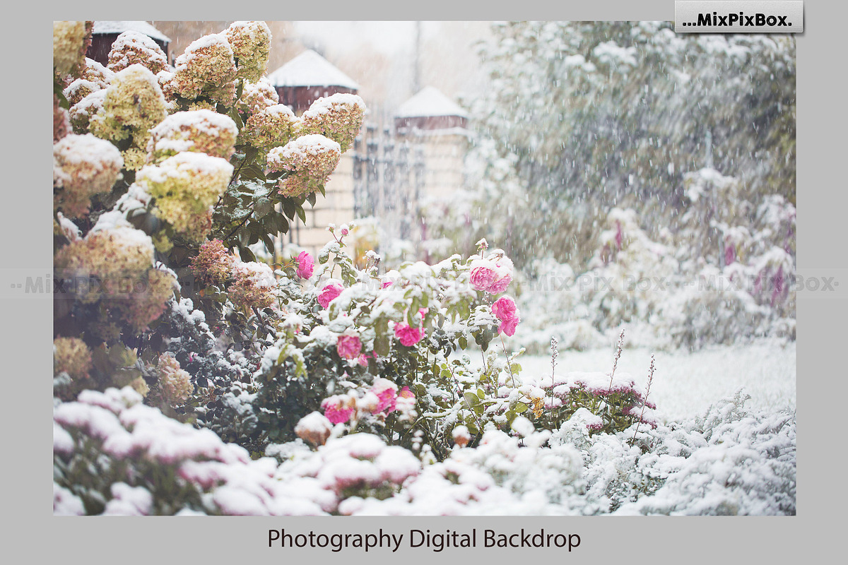 Winter Garden Backdrops, a Wallpaper Graphic by MixPixBox