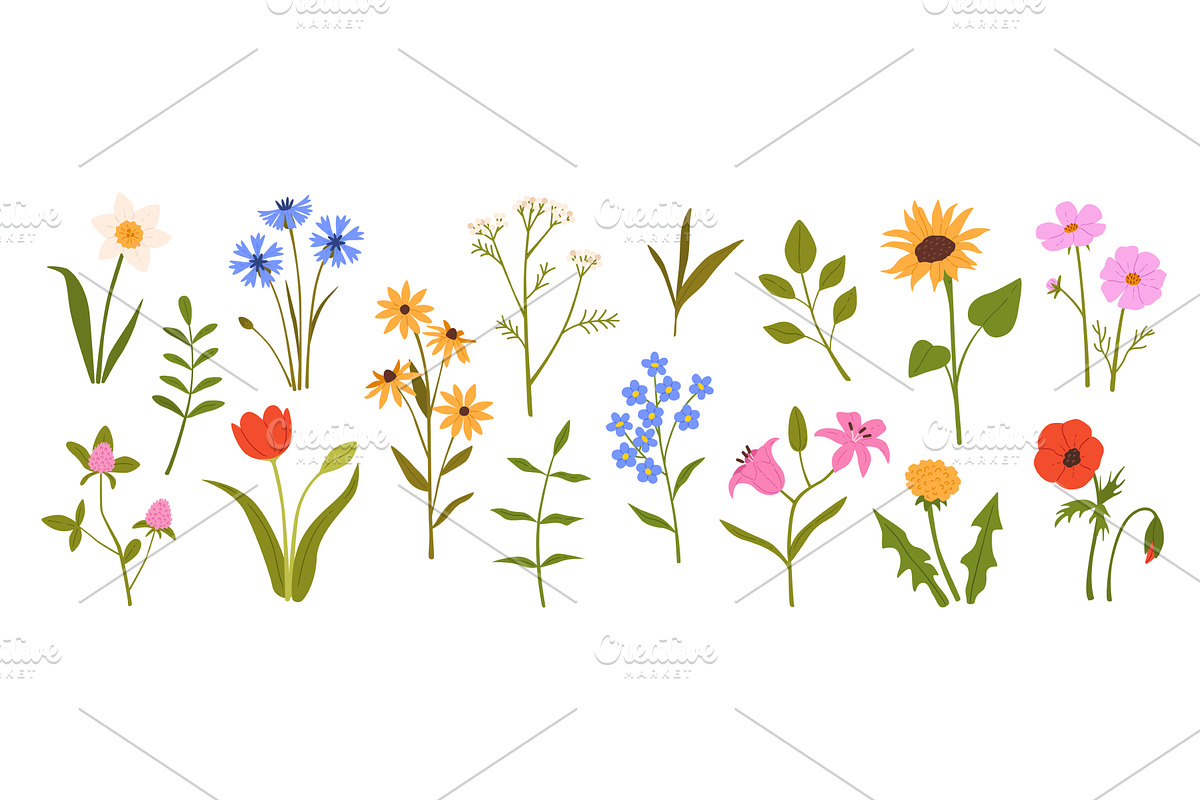 Spring flowers. Blooming garden and, an Object Illustration by winwin.art