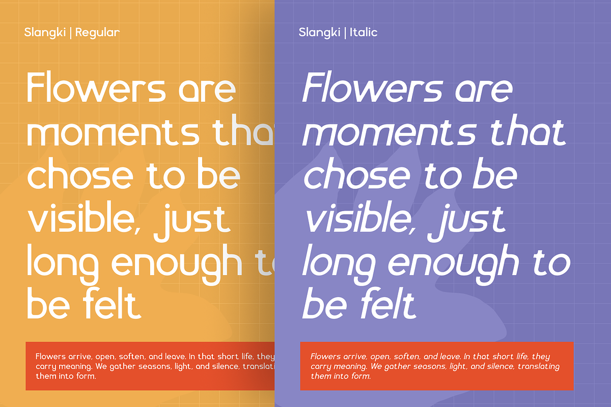 Slangky - Modular Display Sans, a Sans Serif Font by CuratedType Studio (Photo 4 of 10)