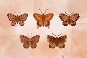 Watercolor Butterflies and Moths, an Object Graphic by Tiger and Flower (Thumbnail 7 of 17)