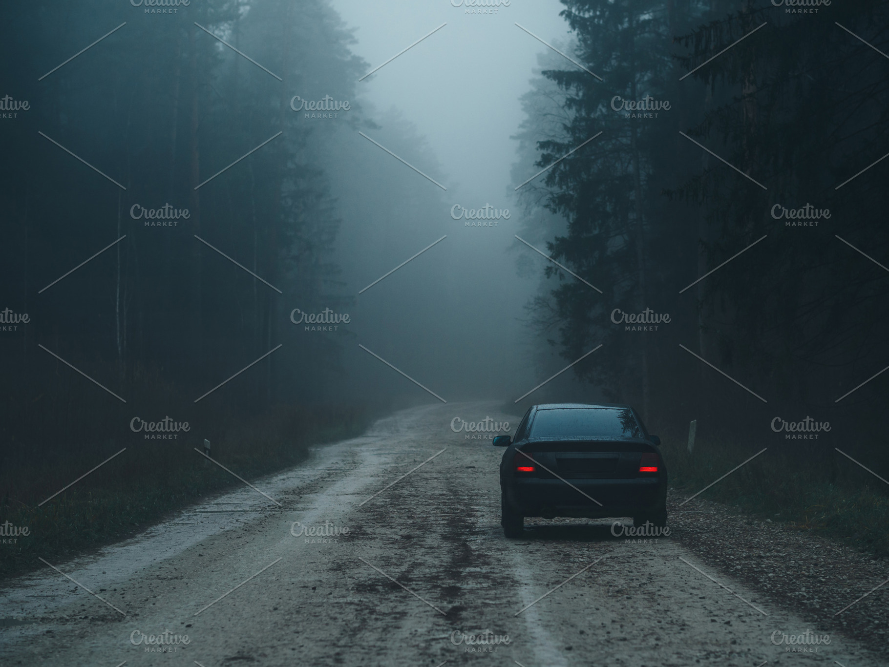 Autumn misty landscape. Car on a dirt road , pine forest , thick fog, a Transportation Photo by PavelKant