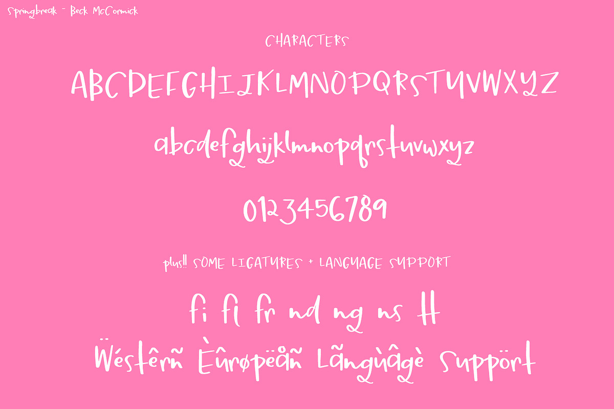 Springbreak Sans, a Script Font by Beck McCormick (Photo 8 of 8)