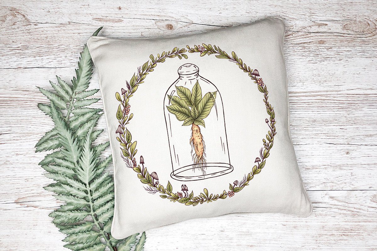 Herbal Magic clipart set, an Illustration by Mrs.Swan_Design (Photo 7 of 7)