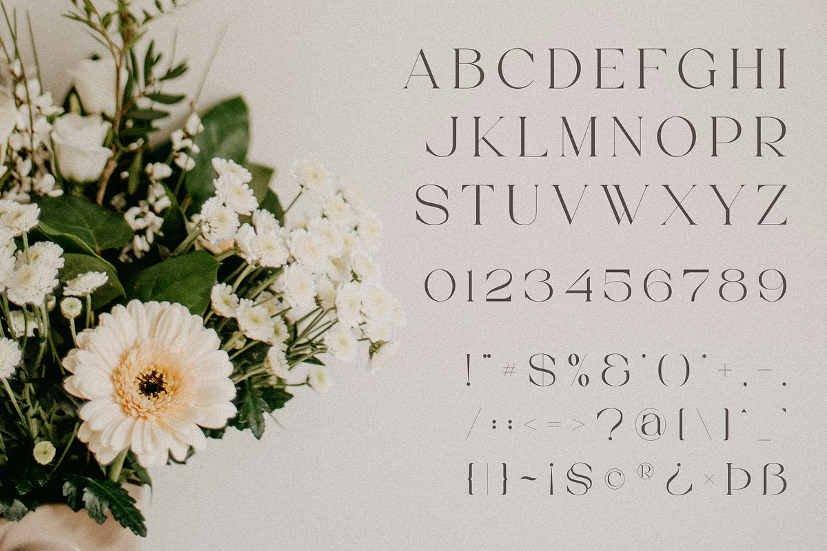 Thorin - Beautiful Serif Font, a Serif Font by Aqeel_Art (Photo 11 of 12)
