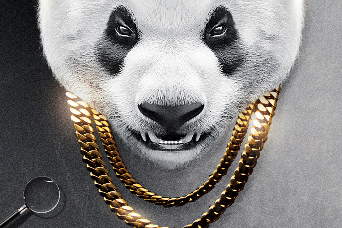 Panda | Conceptual Cover Template, a Flyer Template by GIGA-TEMPLATE (Photo 5 of 6)