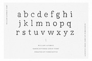 Willow Avenue | Hand lettered Serif, a Serif Font by Pink Coffie (Thumbnail 7 of 11)