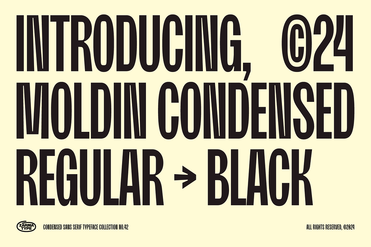 Moldin - Condensed Sans Serif Font, a Sans Serif Font by Zarma Type (Photo 2 of 12)