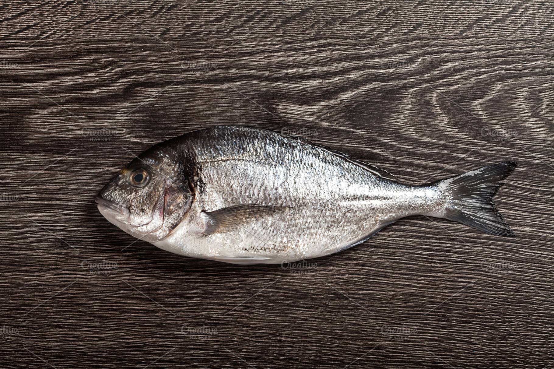 Fresh dorado fish on dark wooden background stock photo containing background