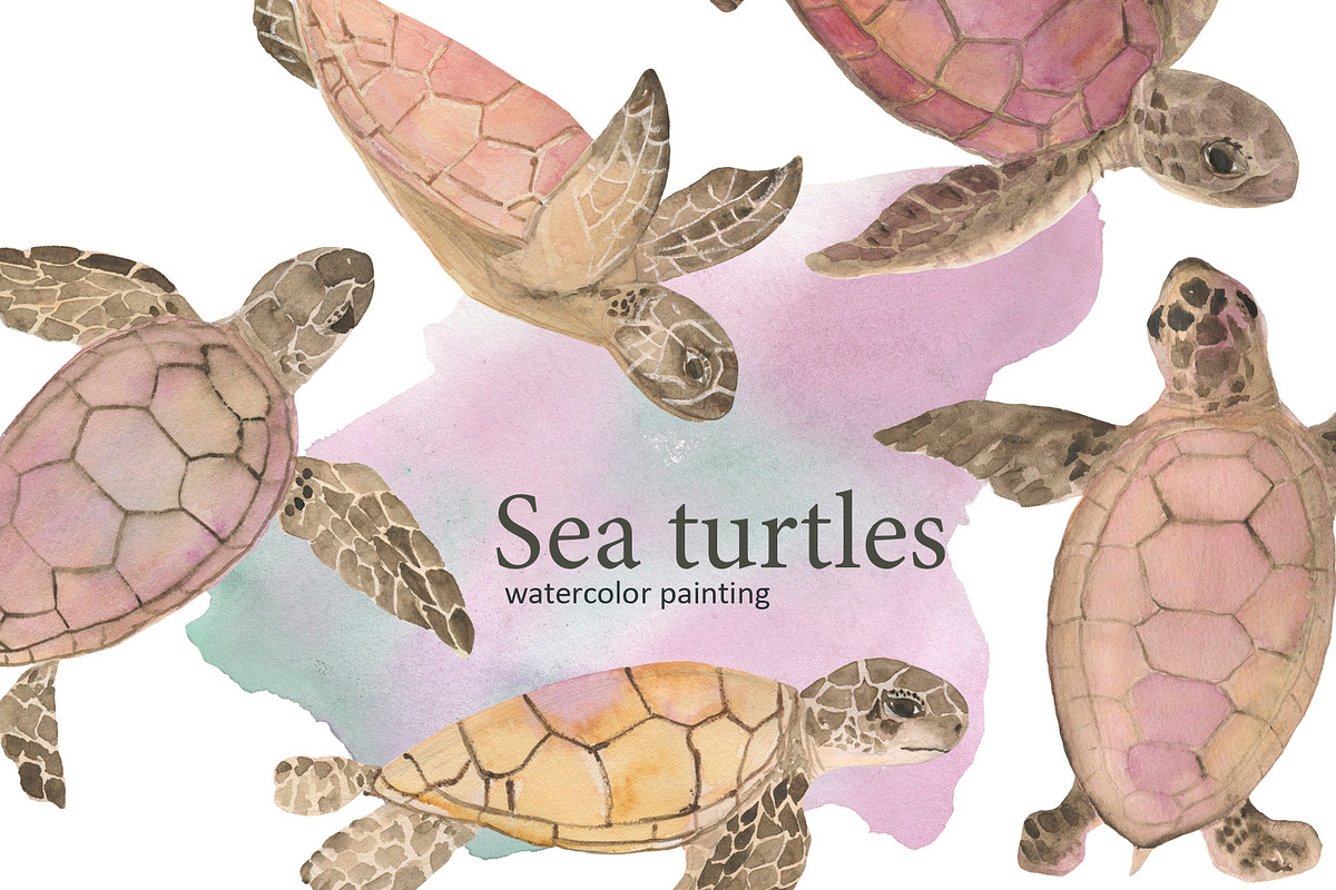 Sea turtles, an Animal Illustration by ramika (Photo 1 of 3)