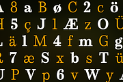 Schorel, a Serif Font by insigne (Thumbnail 2 of 4)