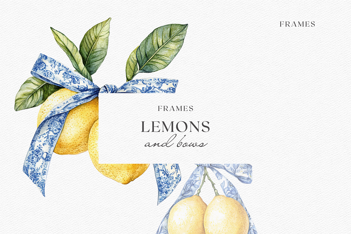 Sicilian Lemons & Ribbons, a Decorative Illustration by ThaismotaCreativeCo (Photo 4 of 9)