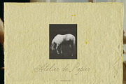 Atelier de Papier - Paper Textures, a Texture Graphic by lerinartstudio (Thumbnail 4 of 9)