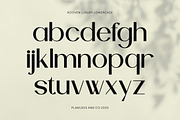 Rooven - Elegant Serif Font, a Serif Font by Flawless And Co (Thumbnail 8 of 10)