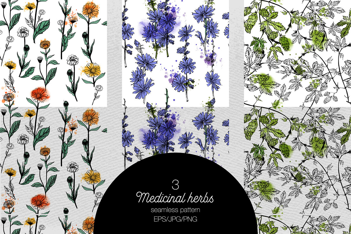 Watercolor medicinal herbs, an Illustration by Tatiana Davidova (Photo 4 of 5)