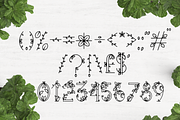 Leaphabet, a Serif Font by Kris Davie (Thumbnail 5 of 10)