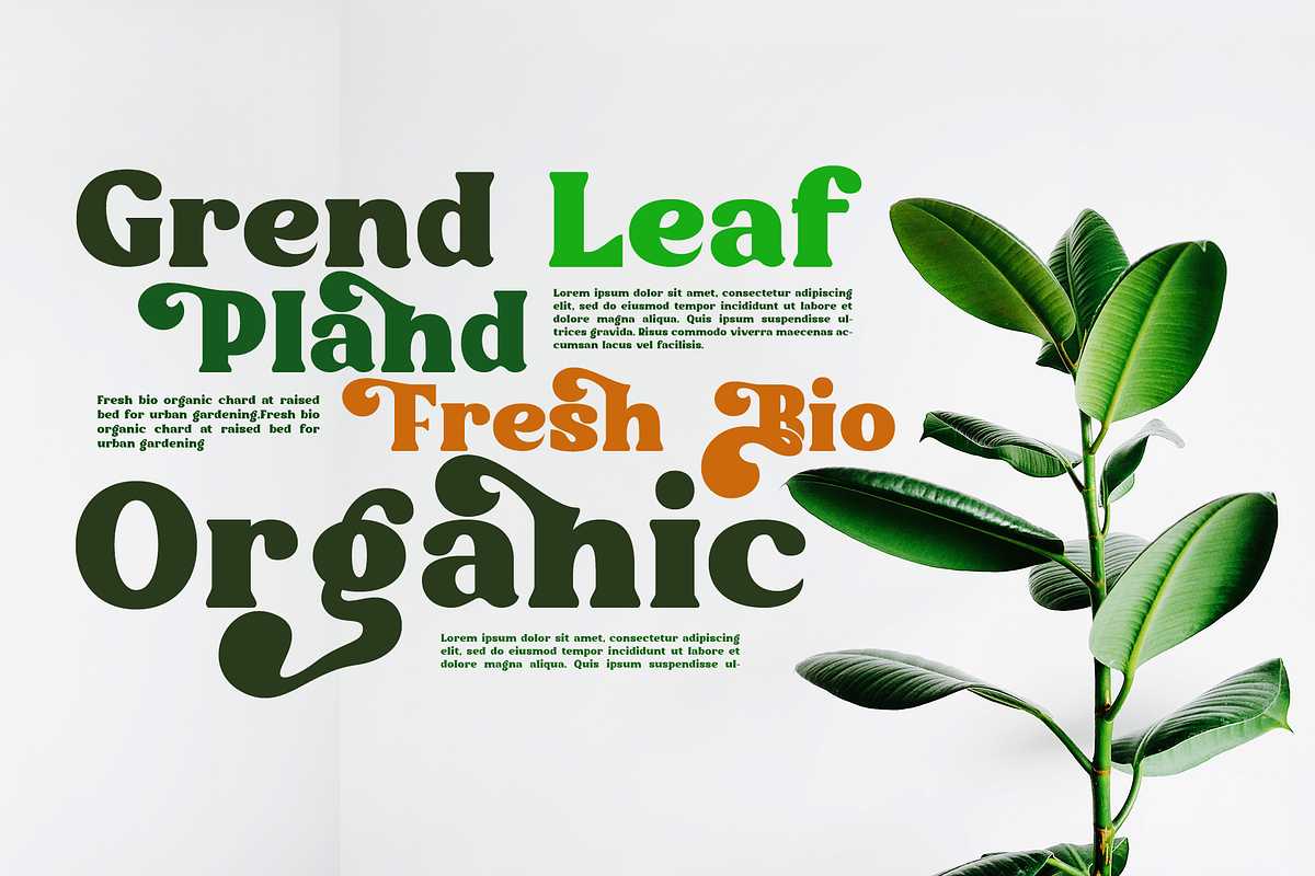 Kelimajaroe | Bold Vintage, a Serif Font by LuhopCreative (Photo 9 of 11)