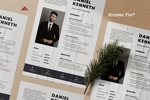 Professional Resume Minimalist