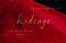 Birdcage Handwritten Font
