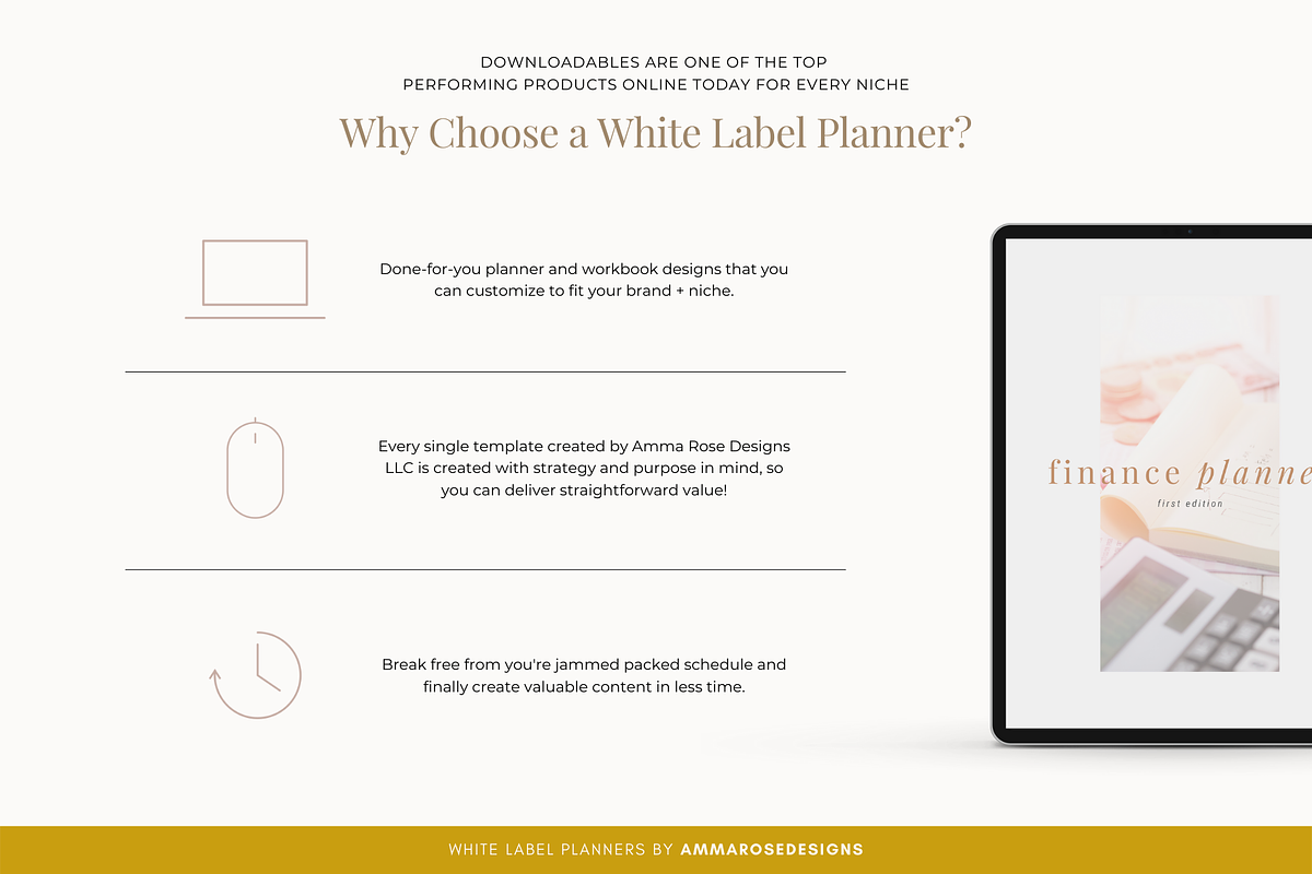 White Label Finance Planner, a Stationery Template by ammarosedesignsllc (Photo 2 of 10)