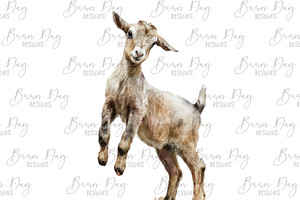 Watercolor Baby Goat Clipart Bundle