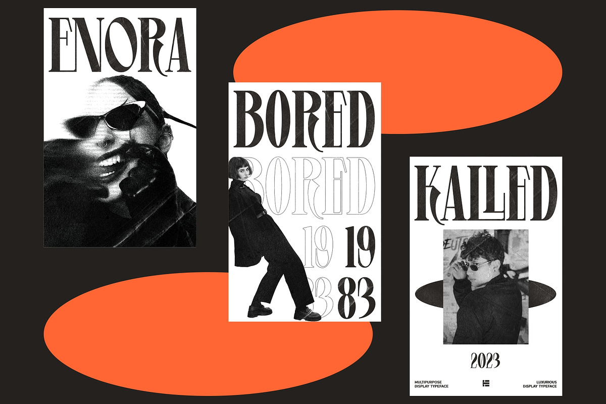 Levine, a Serif Font by Eotype Studio (Photo 10 of 10)