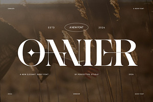 Onnier Elegant Ligature Serif Font T