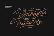 Houstoner Script + EXTRAS! (40%OFF), a Script Font by Martype (Thumbnail 9 of 14)
